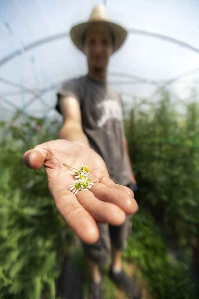 reportage métier pour Infusio